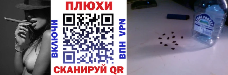 Купить  Ивангород  ГАШИШ индика сатива 
