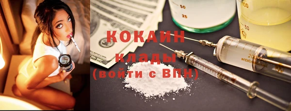 стаф Касимов