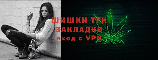 стаф Касимов