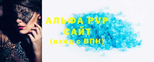 стаф Касимов