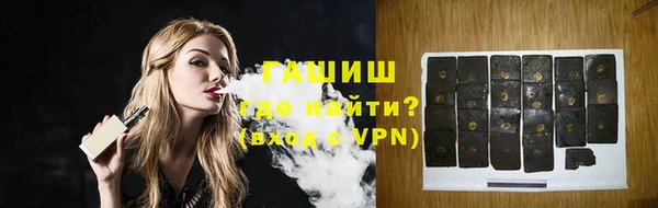стаф Касимов