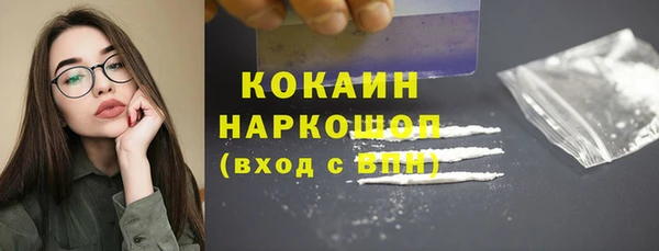 стаф Касимов