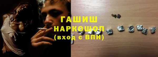 стаф Касимов