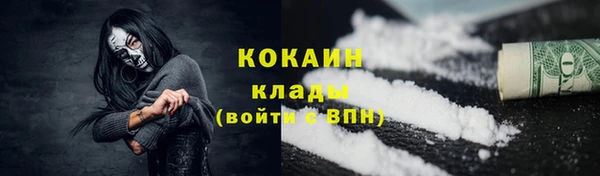 стаф Касимов