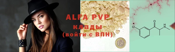 стаф Касимов