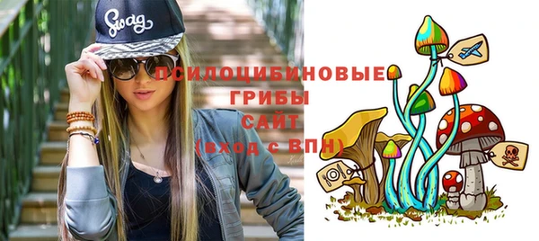 стаф Касимов