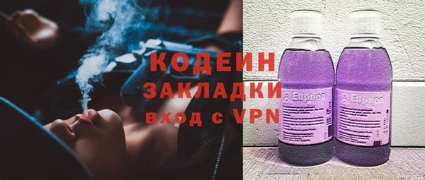 стаф Касимов